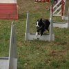 foire-haricots 2011-09-17et18